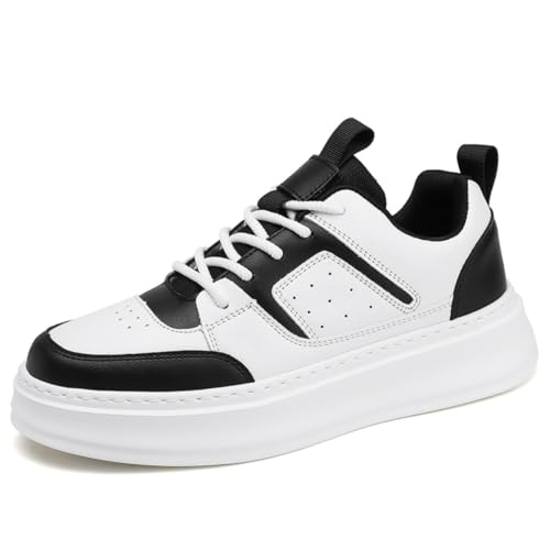 [Vedica] Y Xj[J[   XP[g{[hV[Y [Jbg X|[cV[Y JWA ^C EH[LOV [Y [XAbvV [Y AEghA ʊw ʋ  L y  ₷ l 풅p (ub