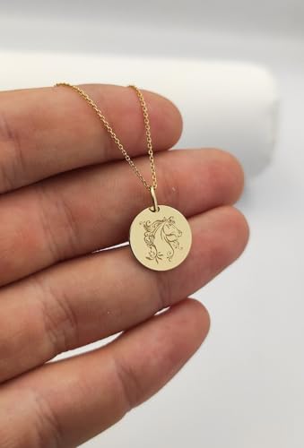 Gargantilla de plata de ley 925 con medalla de caballo, el regalo ideal para jinetes 3