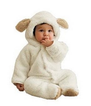 ym[uhizȓ Ԃ  xr[ Jo[I[ p[X V ~ 1Δ TCY  ( 70 cm 80 cm 90 cm ) (80, zCg)