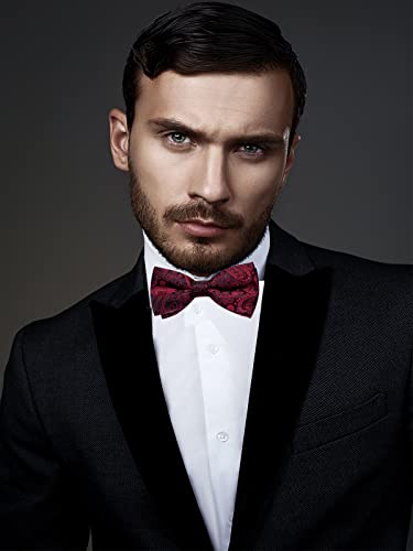 DiBanGu Silk Paisley Bow Tie for Men with Pocket Square Lapel Pin Cufflinks Pre-tied Bowtie Set for Wedding Party Prom