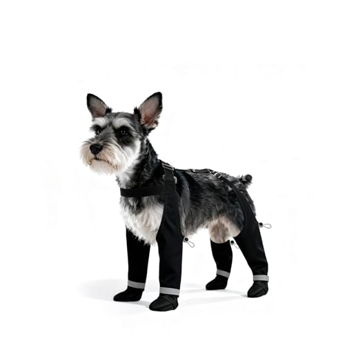 BillionChains Dog Boots