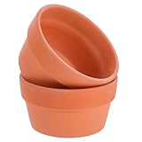 VOSAREA Macetas de Terracota para Suculentas 2 Piezas, Adecuado