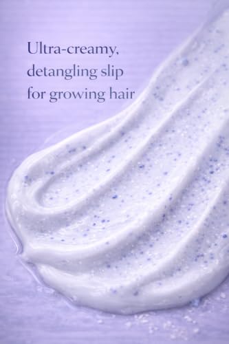 Image of BABY HAIR - Blueberry Mineral Kids Hair Conditioner, Sulfate-Free Toddler Hair Conditioner, Hair Conditioner for Kids with Blueberry & Strawberry Oil, Aloe Vera, and Biotin, 10 fl.oz