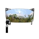 GIKYTEC Football helmet visor Anti-Fog Scratch Resistant Used for riddell speed flex helmet - Football for Youth & Adult (Clear Anti-Fog)