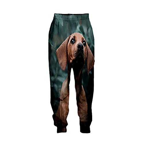 Pantalon teckel original à offrir en cadeau pour homme et femme