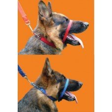 Preisvergleich Produktbild Canny Collar Blue Size 1 by Canny Company