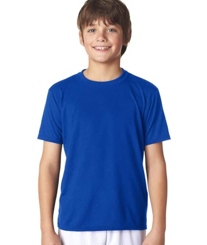Performance T-Shirt (G420B) Royal Blue, M2