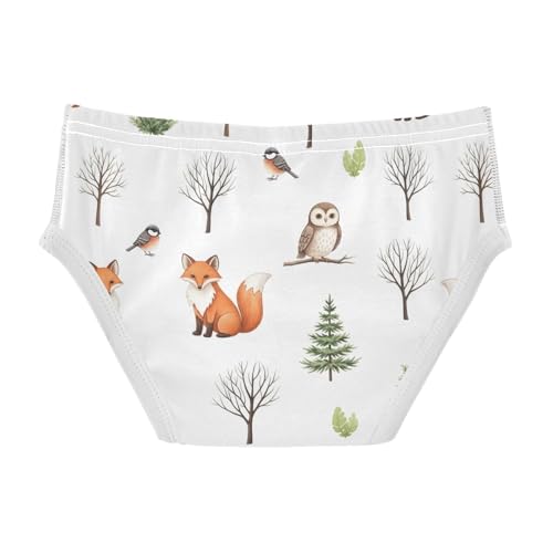 CHIFIGNO Cute Fox Owl White Underwear for Boys Printed Cotton Briefs Little Boys Breathable Underwear Briefs2
