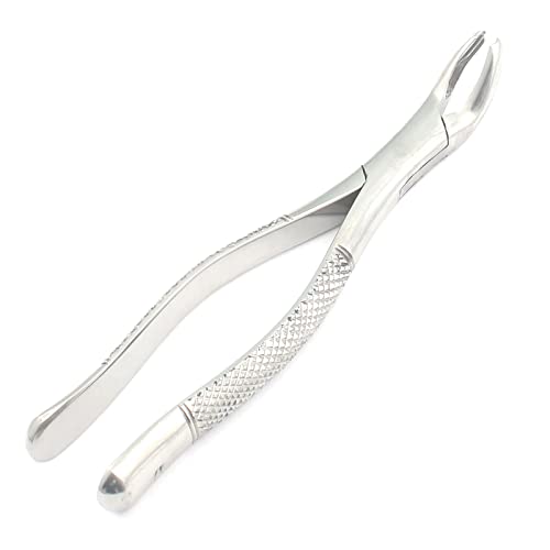WellnessD'Light - Stainless Steel Extracting Forceps 17 1St and 2Nd Lower Molars Universal.