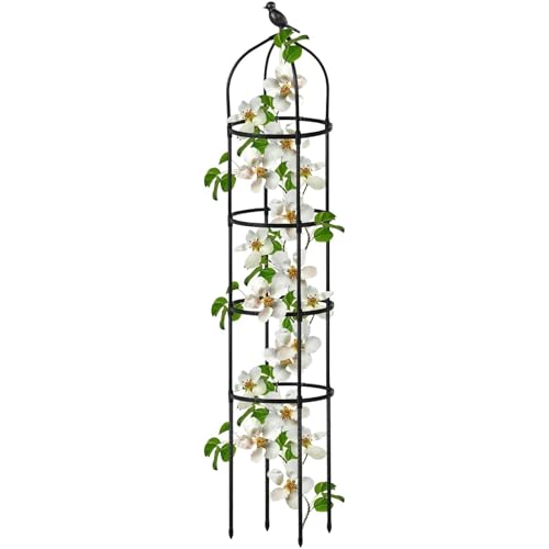 Soportes para tomates trepadores y frutas en huertos verticales 2