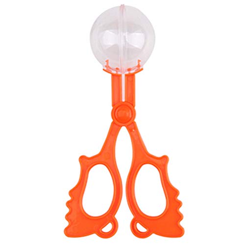 Preisvergleich Produktbild Insektenfänger - Spinnenfänger Wespenfänger Lebendfalle Spinnenfänger Insekten lebend einfangen für Kinder (Zufällige Farbe)