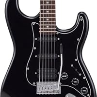 Amazon | SELDER セルダー エレキギター ストラトキャスタータイプ