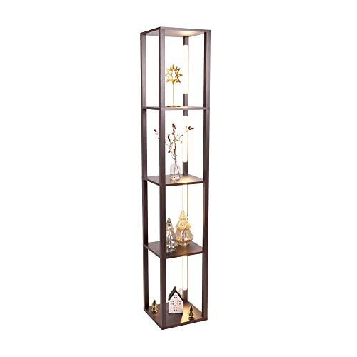 FENLO Fancy Display Shelves with LED, 3in1 Dimmable Floor Lamp with