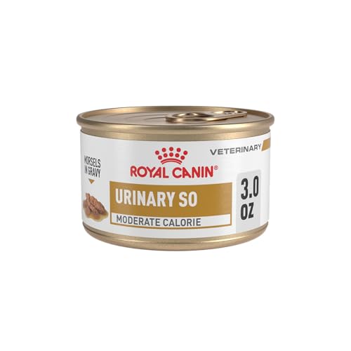 Royal Canin Veterinary Diet Feline Urinary SO Moderate Calorie Adult Morsels in Gravy Cat Food 3 oz (Pack of 24)