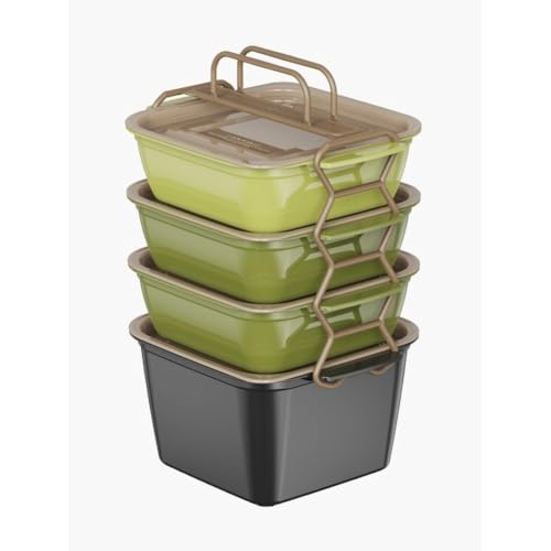 Auratrove Lonchera plegable con 4 compartimentos, contenedor de almacenamiento de alimentos a prueba de fugas para picnic y exteriores, caja de polipropileno apta para microondas, color verde