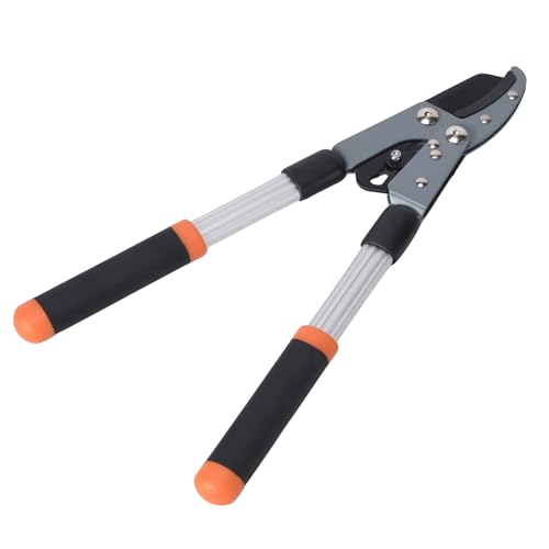 V(Takagi) Sun Garden `Fbg } ~j 40mm