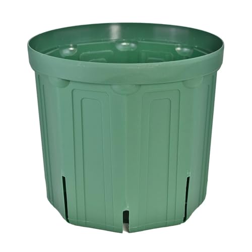 兼弥産業 スリット鉢」の人気商品一覧 | 安い商品を通販サイトから探す