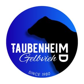 Taubenheim Gelbvieh Sale Feb 2 2026
