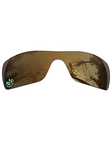 Image of Raydi Polycarbonate Replacement Lenses for Oakley Batwolf OO9101 Rectangular Sunglasses