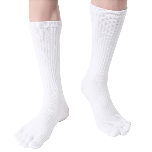 [YUWA] ܖ{w\bNXY v jɂ VR \bNX 6Zbg X|[c AEghA [N Ɨp R (SCɂœK) L z  y25`27p Ezy 28`32cm z  c (25`27p, zCg