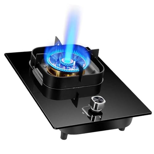 ガス炊飯器 - 5.2kw屋外ポータブルガスストーブ、強化ガラスガスストーブ、デスクトップ、埋め込み式の設置キャンプクックトップ、ホームキッチンモーターホームキャンプ用、フレームアウト保護付き(LPG)