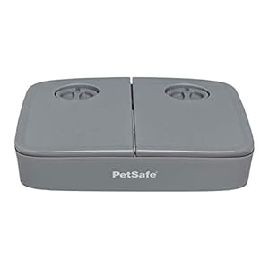PetSafe Futterautomat für 2 Mahlzeiten, Integrierte Schaltuhren, BPA-freier Futternapf, Für Trockenfutter geeignet, Grau, 1 Stück (1er Pack)
