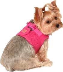 simply dog harness size medium