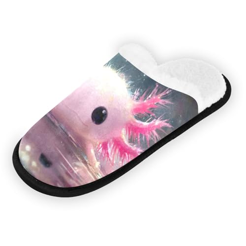 Axolotl Pink Cute Slippers For Women Men Soft Memory Foam Non-Slip Animal Winter Indoor House Shoes Travel Slipper2