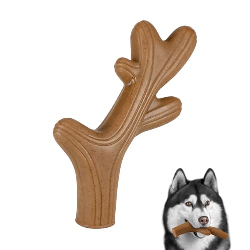 p   ނ pf^gC HiiC v  XgX  @\ p