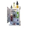 Bathroom Organizer