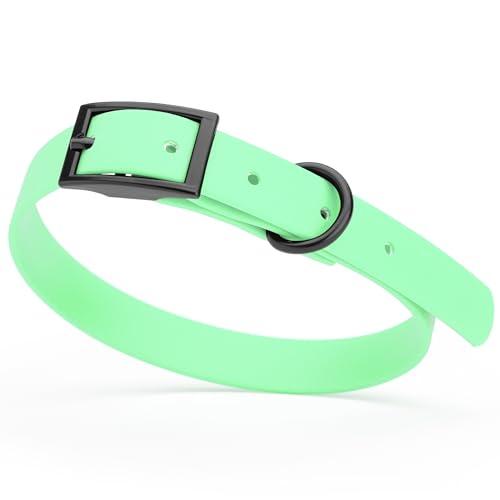 Image of Dogline Biothane Waterproof Dog Collar Strong Coated Nylon Webbing with Black Hardware Odor- Proof for Easy Care Easy to Clean High Performance Fits Small Medium or Large Dogs, Sea Foam Green