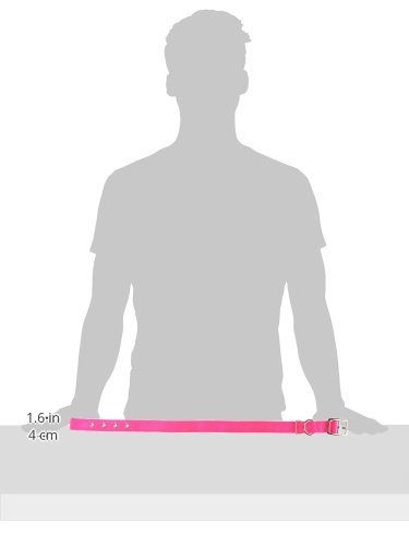 Hamilton Thick Nylon Deluxe Dog Collar, 1-Inch By 24-Inch Double, Hot Pink #TOP2