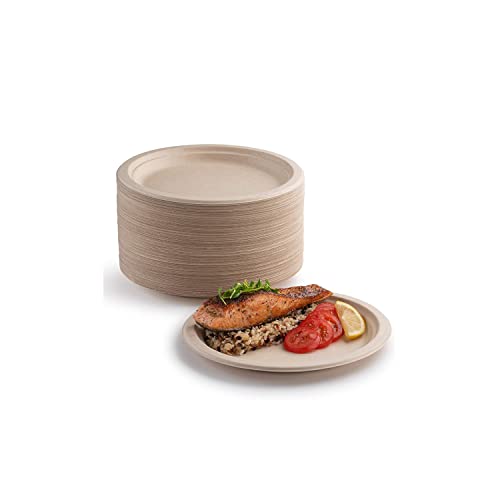 YIEN Lot 100 assiettes en carton super rigides 100 % biodégradables et compostables respectueuses l'environnement très résistantes recyclables, parfaites...