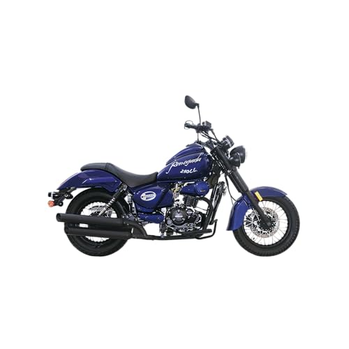 Motos, Toy motos 250 Marca DINAMO (3)
