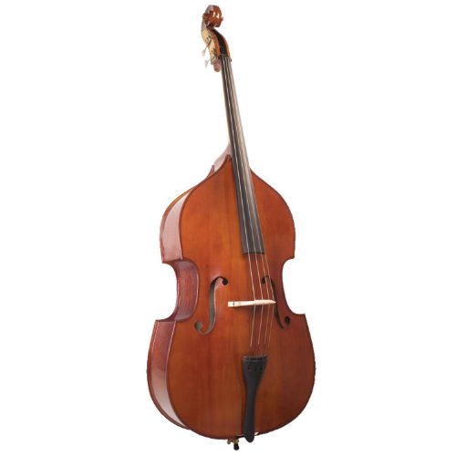 Palatino 4 String Acoustic Upright Bass, Right (VB-029-3/4)