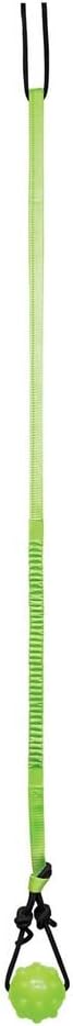 Tree Tugger For Dog, Green