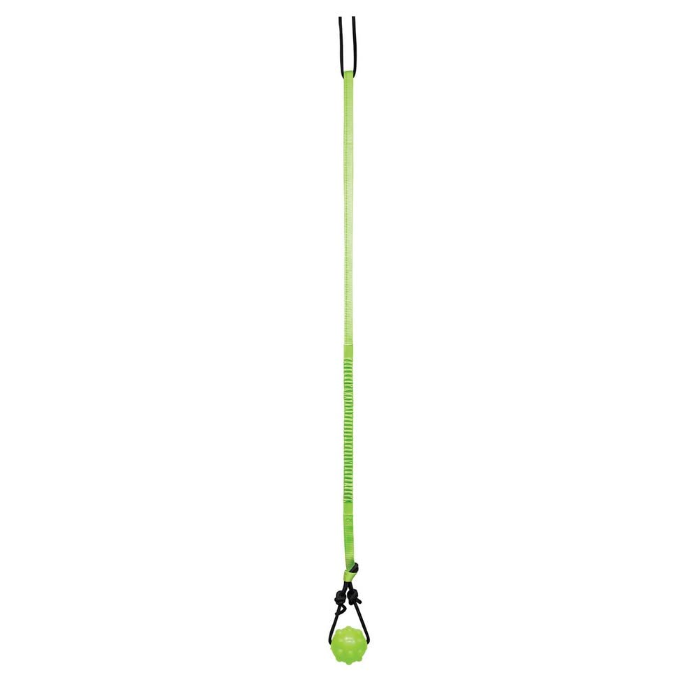 Jolly Pets Tree Tugger For Dog, Green