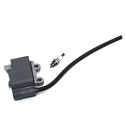 Wangzefei Ignition Coil Spark Plug For Bm6A Echo Pb-255Ln Pb-251 Es255 Pb265L Pb265Ln Leaf Blower Vacumm Magneto Parts A411000290 A425000100 #TOP3