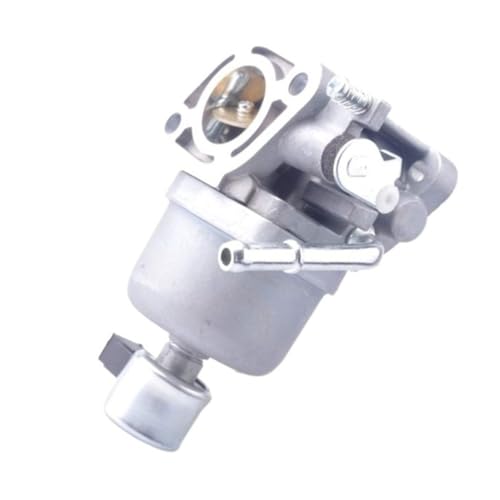 Carburateur 699815 pour entretenir la pelouse du jardin