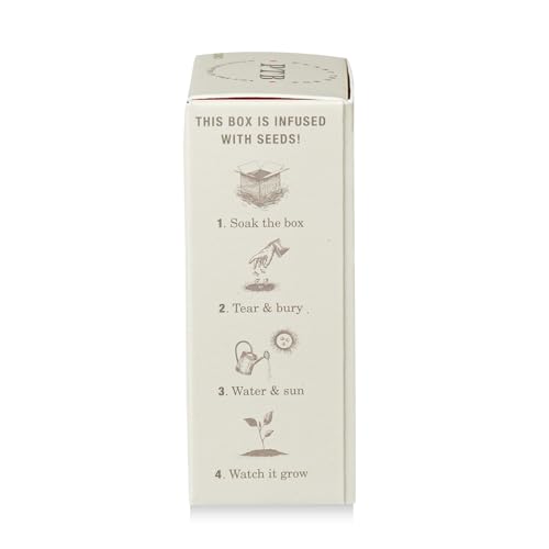 Image of KOBO Plant the Box Wild Tomato Vine Bar Soap (7 oz)