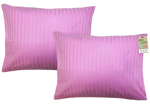 ZPECC Toddler Pillow with Pillowcase 2 Pack - 13x18 Organic Cotton Hypoallergenic Kids Pillow, Baby Essentials for Travel Crib Daycare Stroller (Intended for Age 2 and up) Pink Stripe