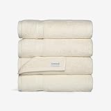 Turkish Luxury Hotel & Spa 27