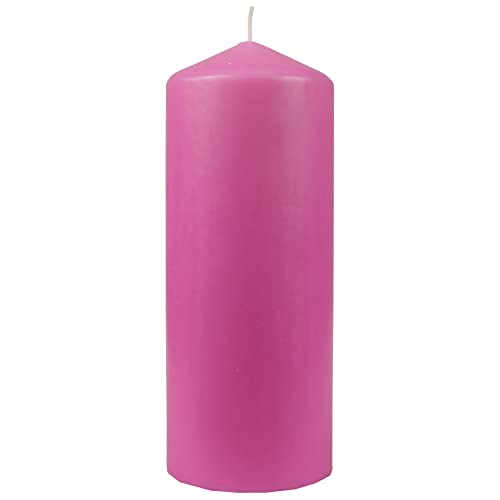 HS Candle Wachskerzen Stumpenkerzen Ø8cm x 20cm (Rose) - Lange...