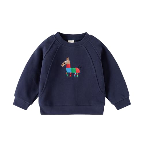 Irsutey Baby Boys Cartoon Embroidered Solid Color Crew Neck Loose Sweatshirt Long Sleeve Shirt Tops