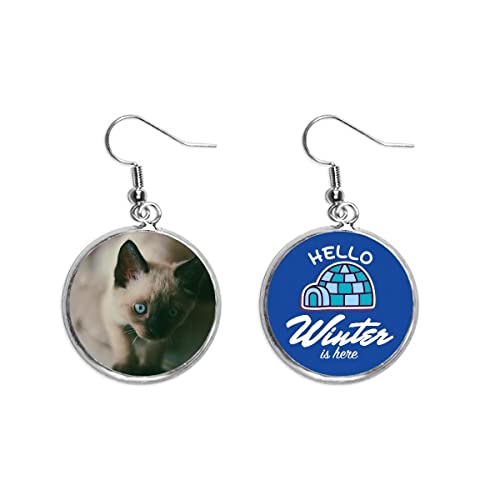 Pendientes colgantes de fotografía felina con acabado efecto hielo invernal