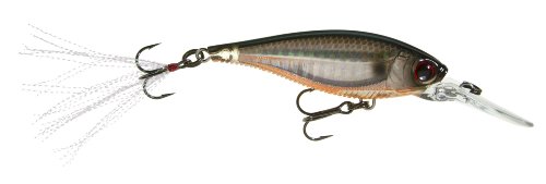 Yo-Zuri 3DB Shad Suspending Lure, Prism Tennessee Shad, 2 3/4-Inch