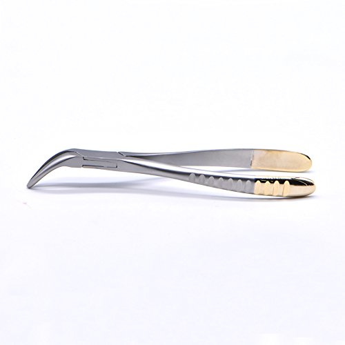 Vista 11 de Angzhili Pinza de extracción dental para fragmento de raíz, instrumento dental mínimamente invasivo, pinza curvada (dientes axilares y mandibulares)