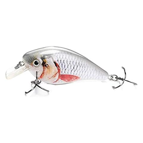 Codaicen Bait Fish Crankbait for Bass Fishing Fishing - Life-Like Bass Fishing Lures - Predatory Swimbait Fishing Lures - Catches Bass, Walleye, Pike (Baby Silver Shad) Cover