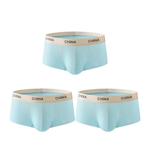 Mens Ice Silk Sheer Boxer Briefs Underwear Trunks Shorts Breathable Underpants