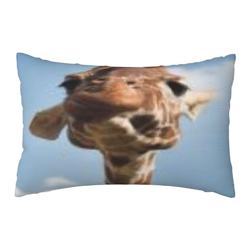 ʃvbVJo[A_炩ȁA20x30C`Axbh\t@ɍœKiRsrdnc-150-670cdf9f6d9c5948e8ad6383d5309e00 j